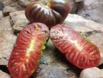 Black Brandywine Tomato