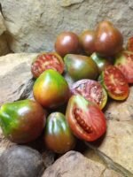 BLACK PEAR BICOLORED TOMATO
