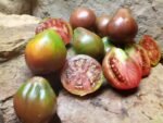 BLACK PEAR NEW TOMATO