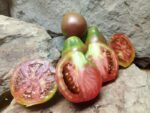 BLACK PEAR SAUCE TOMATO