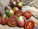 Black Pear Tomato