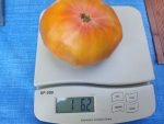 BLUSHING BRIDE 1 POUND PLUS TOMATOES
