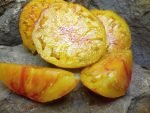 BLUSHING BRIDE NEW YELLOW TOMATOES