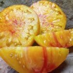 Blushing Bride Tomato