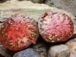 Brad's Black Heart Tomato