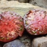 Brad's Black Heart Tomato