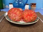 Black Angus Dwarf Tomato Seeds.