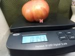Blushing Bride Tomato Large Tomatoes
