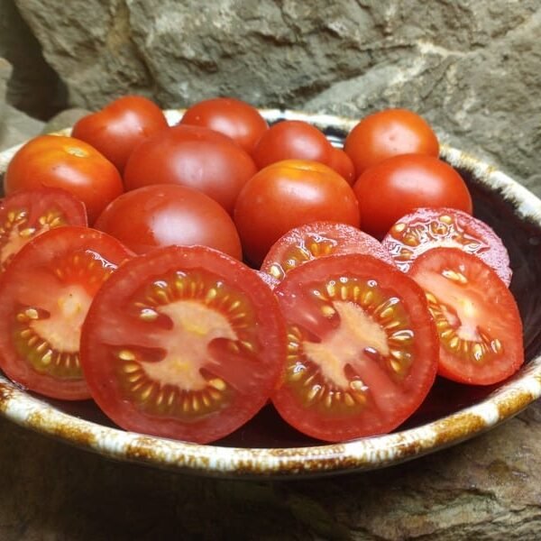 CARTER'S SUNRISE SALAD TOMATOES