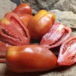 CHAMP MARTIN PASTE TOMATO