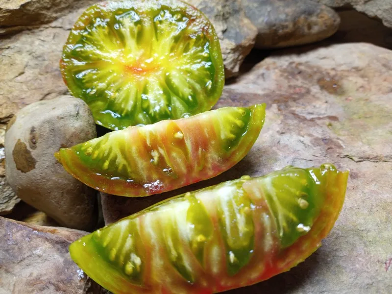 CHEROKEE LIME STRIPES BEEFSTEAK TOMATOES
