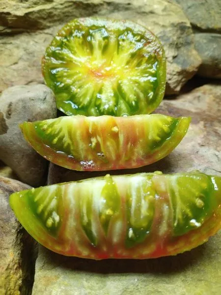 CHEROKEE LIME STRIPES NEW TOMATOES