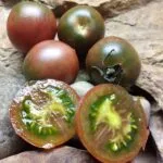 CHOCOLATE DROP SALAD TOMATOES