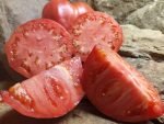 CURTIS CHEEK OXHEART TOMATOES
