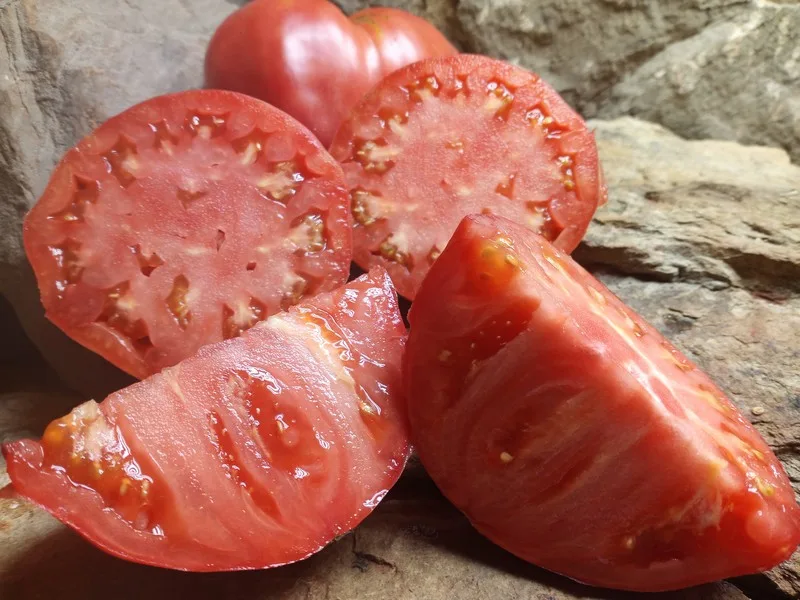 CURTIS CHEEK OXHEART TOMATOES