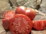 CURTIS CHEEK RED TOMATOES