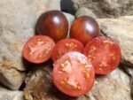 DAMASCUS STEEL BICOLORED TOMATOES