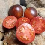 DAMASCUS STEEL BICOLORED TOMATOES