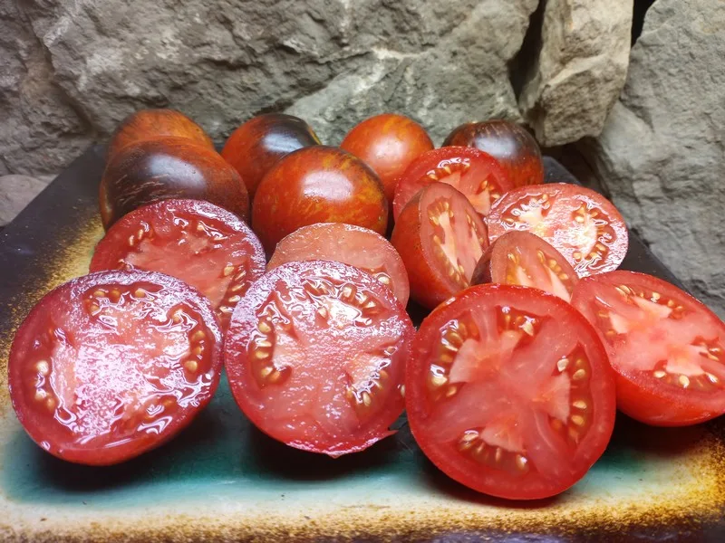 DAMASCUS STEEL INDETERMINATE TOMATOES