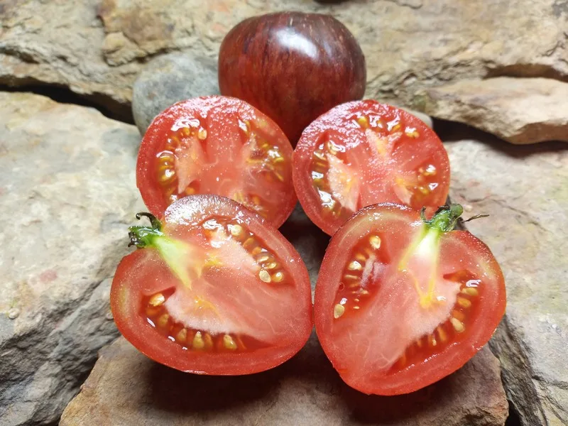 DAMASCUS STEEL SALAD TOMATOES