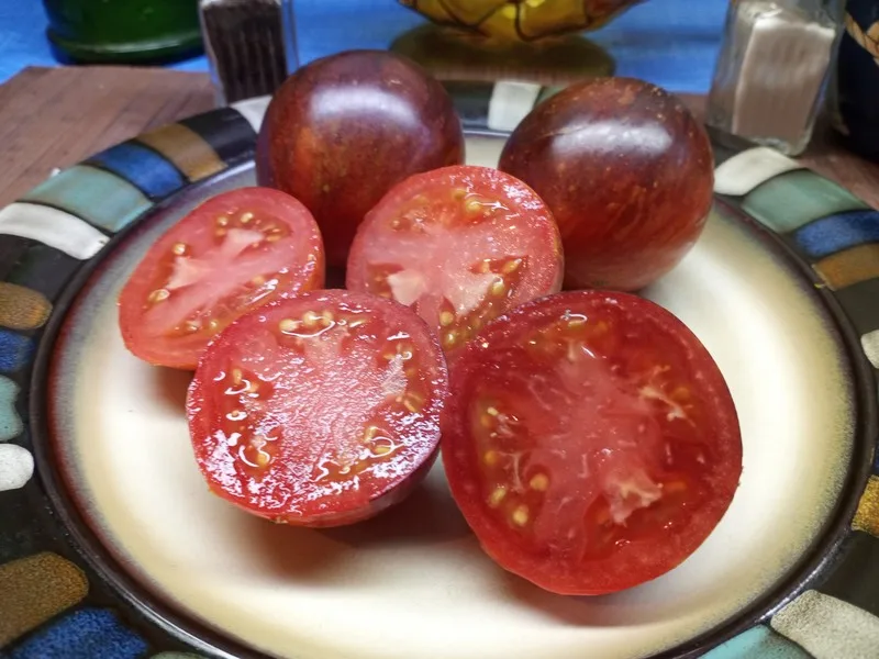 Damascus Steel Tomato