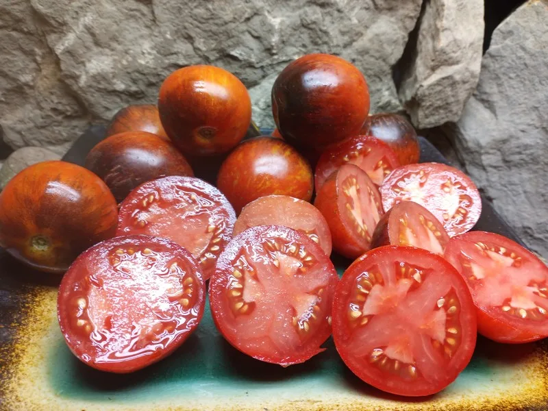 DAMSCUS STEEL ANTHO TOMATOES
