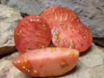 DARK GALAXY BEEFSTEAK TOMATOES