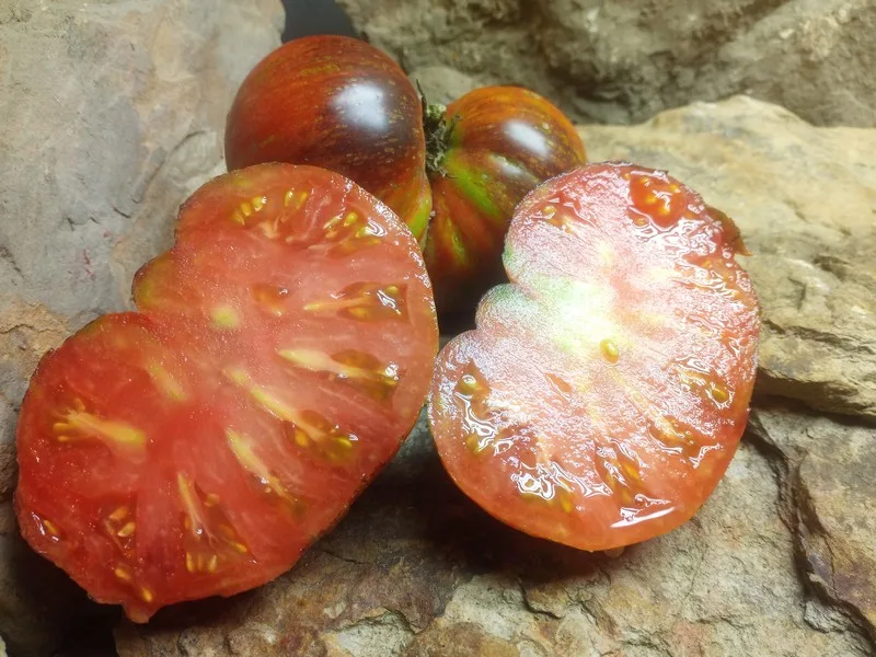 DARK GALAXY BICOLORED TOMATOES