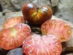 DARK GALAXY STRIPED TOMATOES