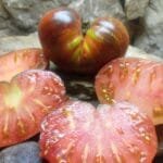 DARK GALAXY STRIPED TOMATOES