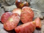 DARK GALAXY WELL KNOWN BREEDERS TOMATOES