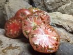 DEAN'S BLACK DWARF BEEFSTEAK TOMATOES