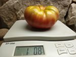 DEAN'S BLACK DWARF BICOLORED TOMATOES