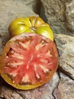 DEAN'S BLACK DWARF OPEN POLLINATED TOMATOES