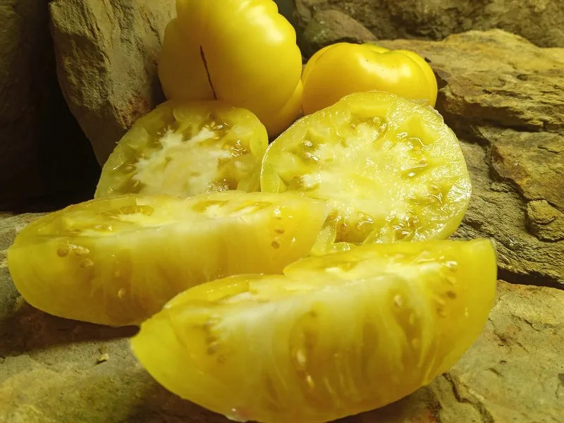 DEAN'S RAINBOW DARF TOMATO SEEDS