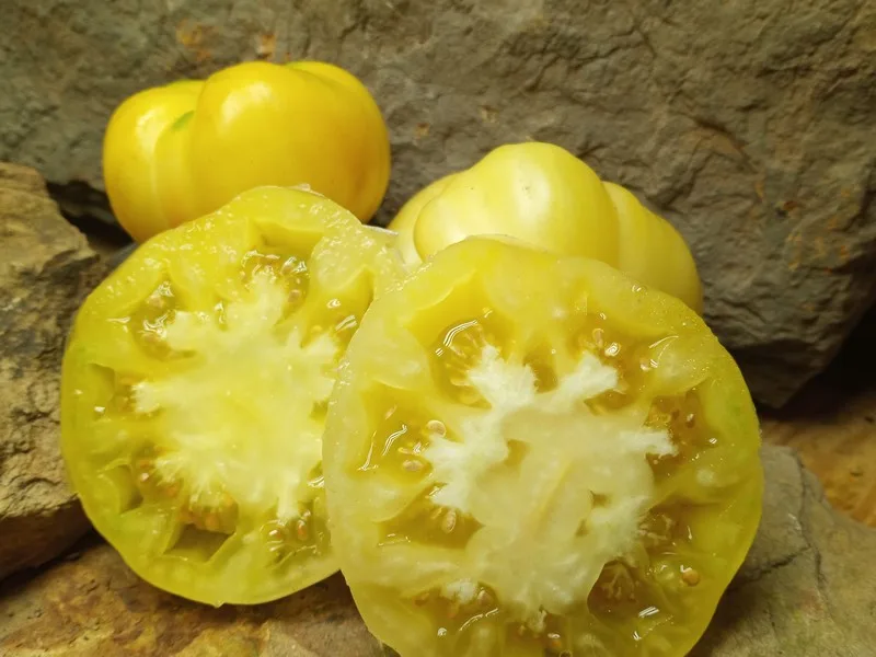 DEAN'S RAINBOW DAWRF TOMATOES INSETERMINATE