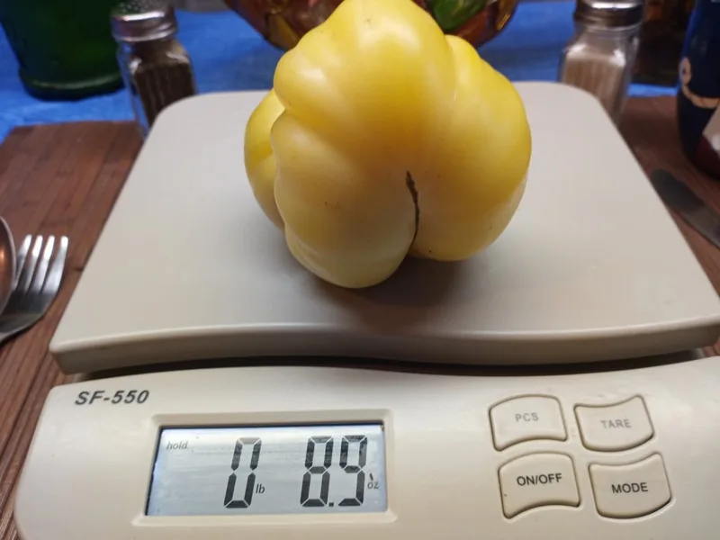 DEAN'S RAINBOW DAWRF WHITE TOMATO