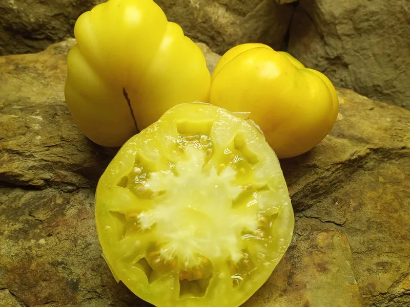 DEAN'S RAINBOW DWARF YELLOW TOMATOES