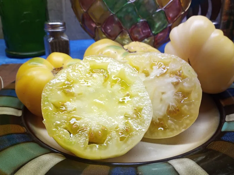 Dean's Rainbow Dwarf Tomato