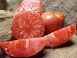 Dester Tomato - Image 2