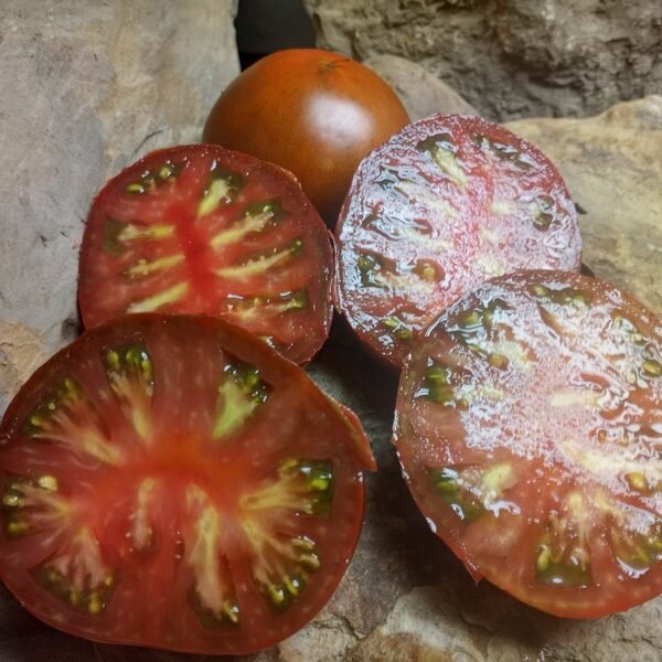 Dice's Mystery Black Tomato
