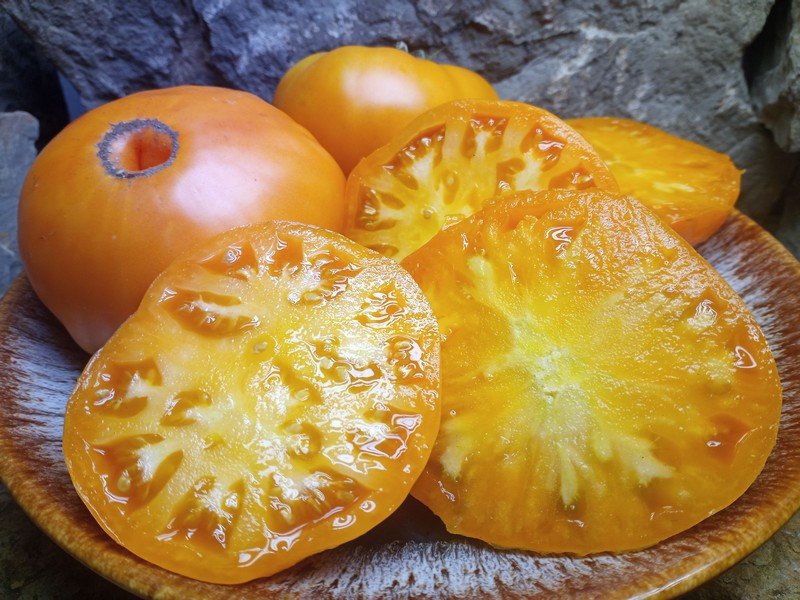 Dr Wyches Yellow Tomato Bounty Hunter Seeds Heirloom Seeds