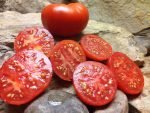 Dr. Wyche's Red Tomato - Image 4