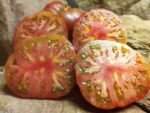 DWARF BLACK ANGUS TOMATO