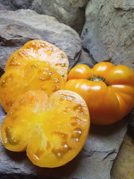 DWARF BLAZING BEAUTY SANDWICH TOMATO