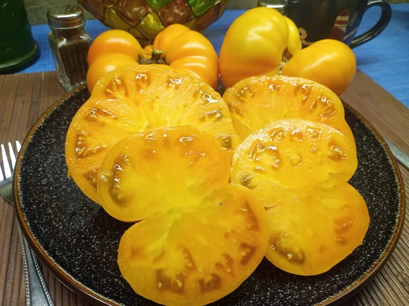 DWARF BLAZING BEAUTY YELLOW TOMATOES