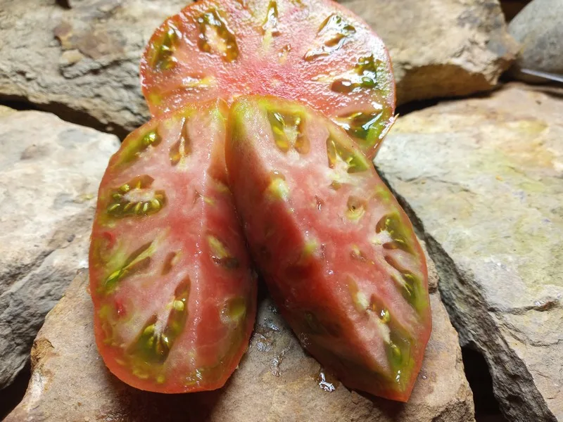 DWARF MAHOGANY SLICING TOMATOES