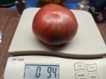 DWARF TENNESSEE SUITED BICOLORED TOMATOES