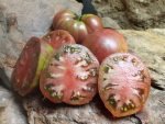 DWARF TENNESSEE SUITED SLICING TOMATOES