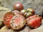 DWARF TENNESSEE SUITED STRIPED TOMATOES